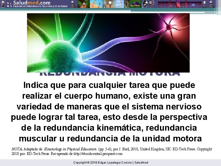 REDUNDANCIA MOTORA Indica que para cualquier tarea que puede realizar el cuerpo humano, existe