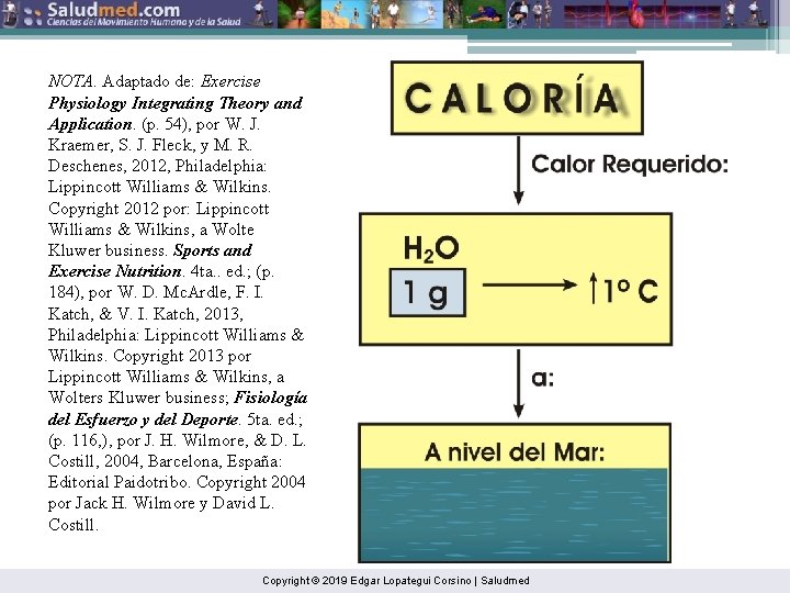 NOTA. Adaptado de: Exercise Physiology Integrating Theory and Application. (p. 54), por W. J.