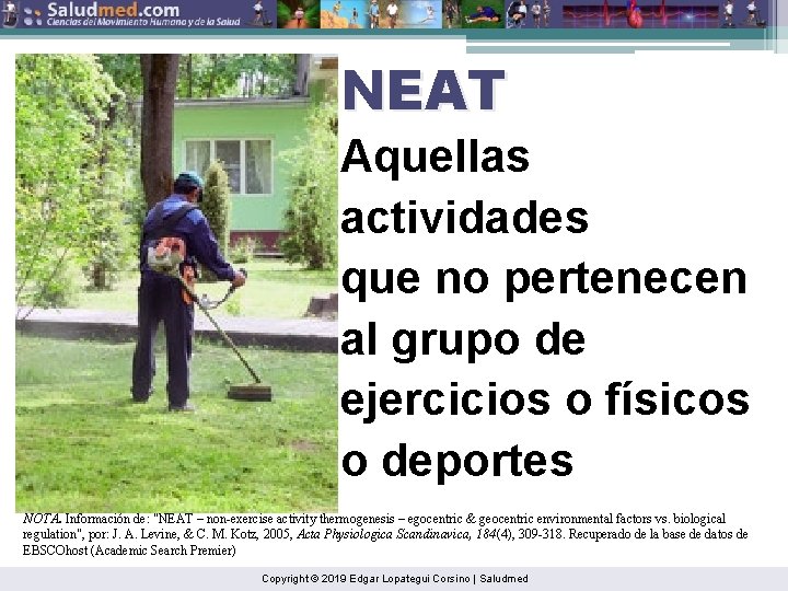 NEAT Aquellas actividades que no pertenecen al grupo de ejercicios o físicos o deportes