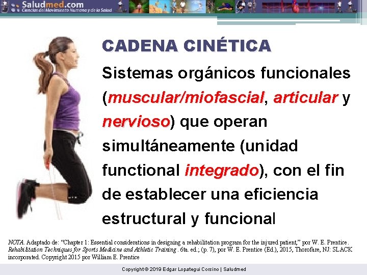 CADENA CINÉTICA Sistemas orgánicos funcionales (muscular/miofascial, muscular/miofascial articular y nervioso) nervioso que operan simultáneamente