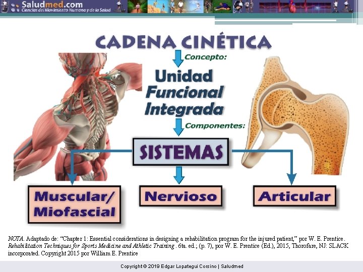 NOTA. Adaptado de: “Chapter 1: Essential considerations in designing a rehabilitation program for the