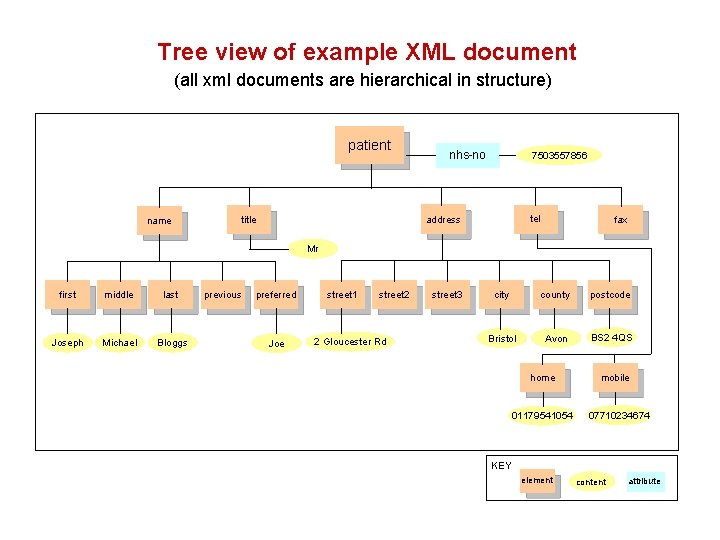 Tree view of example XML document (all xml documents are hierarchical in structure) patient Tree view of example XML document (all xml documents are hierarchical in structure) patient