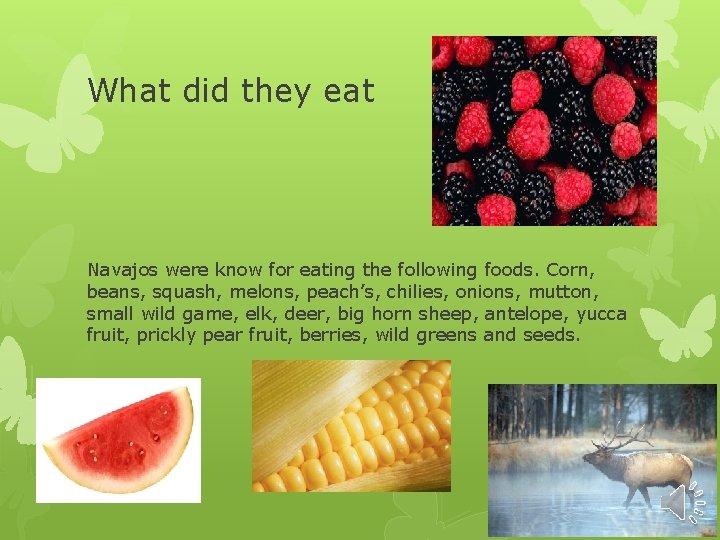 What did they eat Navajos were know for eating the following foods. Corn, beans,