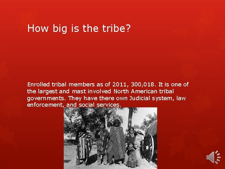 How big is the tribe? Enrolled tribal members as of 2011, 300, 018. It