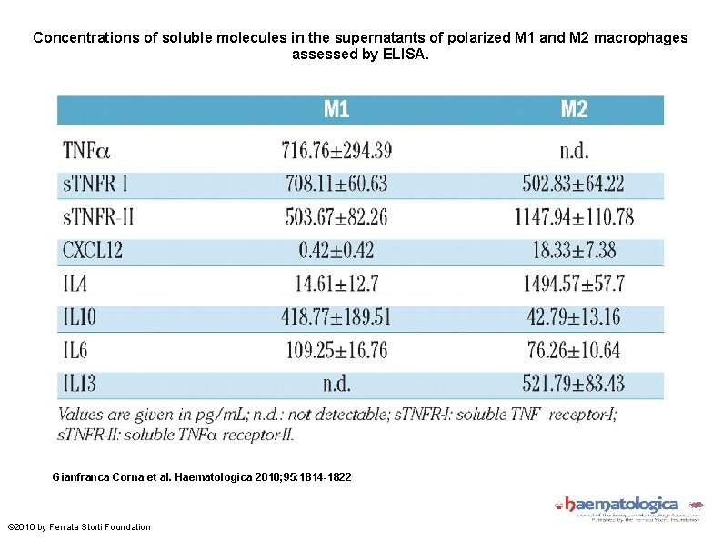 Concentrations of soluble molecules in the supernatants of polarized M 1 and M 2