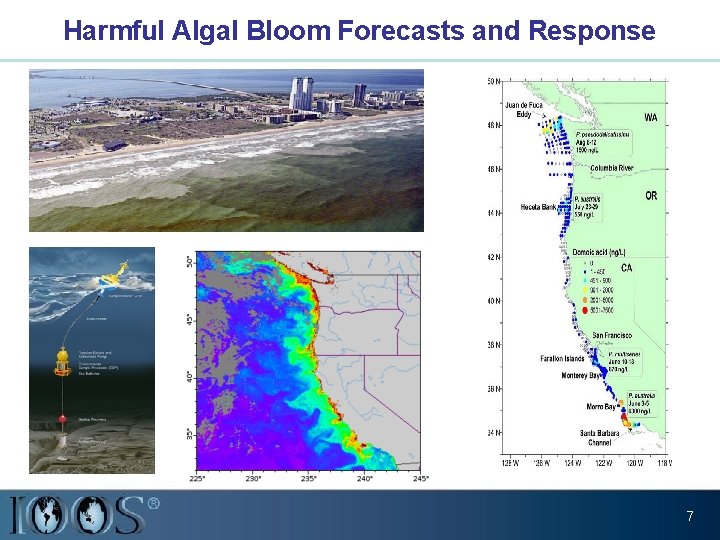 Harmful Algal Bloom Forecasts and Response 7 