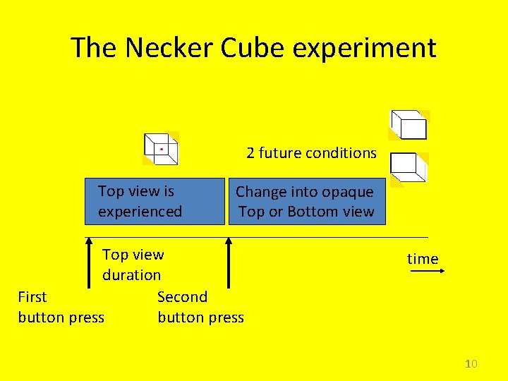 The Necker Cube experiment 2 future conditions Top view is experienced Change into opaque
