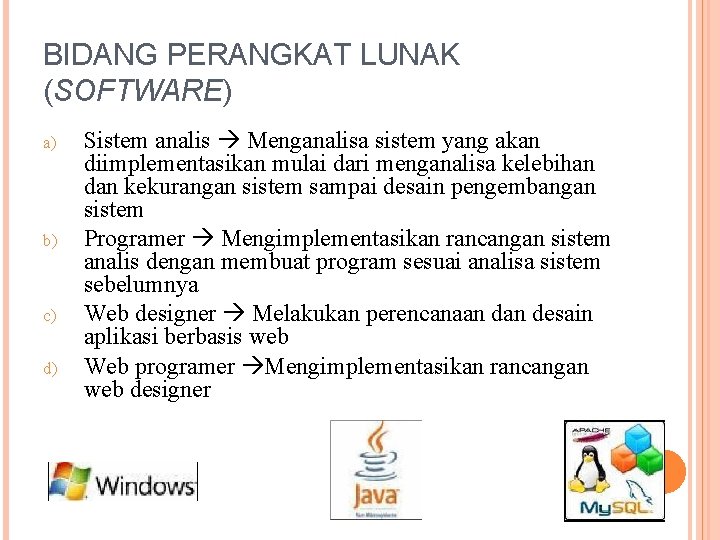 BIDANG PERANGKAT LUNAK (SOFTWARE) a) b) c) d) Sistem analis Menganalisa sistem yang akan