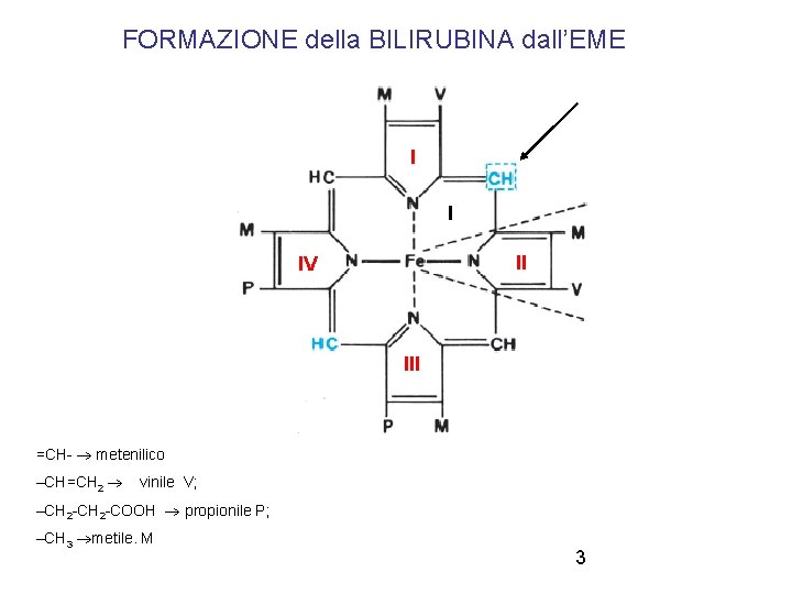 FORMAZIONE della BILIRUBINA dall’EME I I II IV III =CH- metenilico –CH=CH 2 vinile