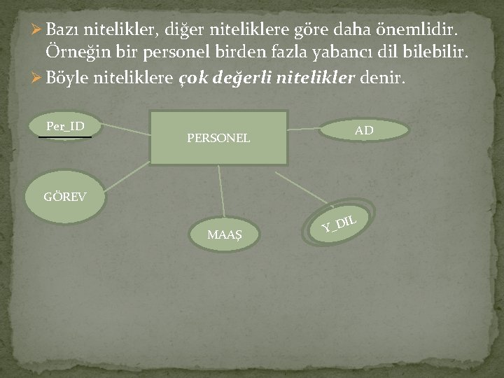 Ø Bazı nitelikler, diğer niteliklere göre daha önemlidir. Örneğin bir personel birden fazla yabancı