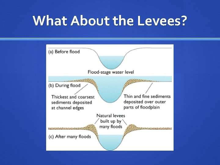 What About the Levees? 