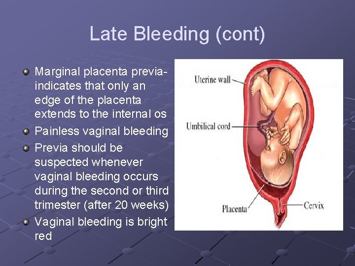 Late Bleeding (cont) Marginal placenta previaindicates that only an edge of the placenta extends