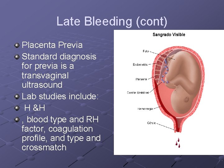 Late Bleeding (cont) Placenta Previa Standard diagnosis for previa is a transvaginal ultrasound Lab