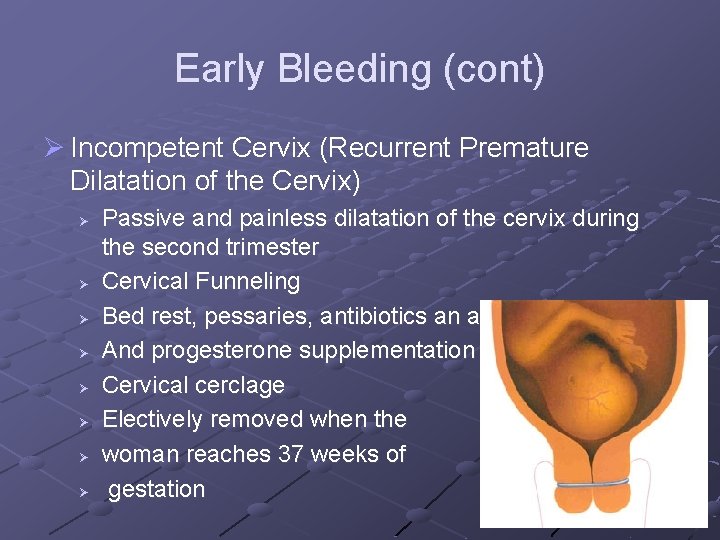 Early Bleeding (cont) Ø Incompetent Cervix (Recurrent Premature Dilatation of the Cervix) Ø Ø