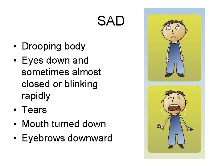 SAD • Drooping body • Eyes down and sometimes almost closed or blinking rapidly