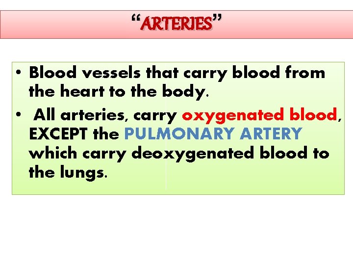 “ARTERIES” • Blood vessels that carry blood from the heart to the body. •