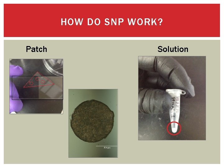 HOW DO SNP WORK? Patch Solution 