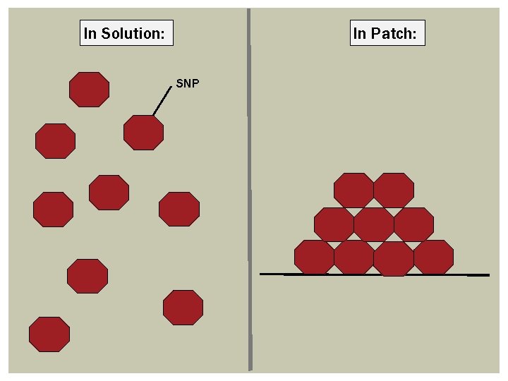 In Solution: In Patch: SNP 