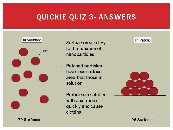 QUICKIE QUIZ 3 - ANSWERS - Surface area is key to the function of