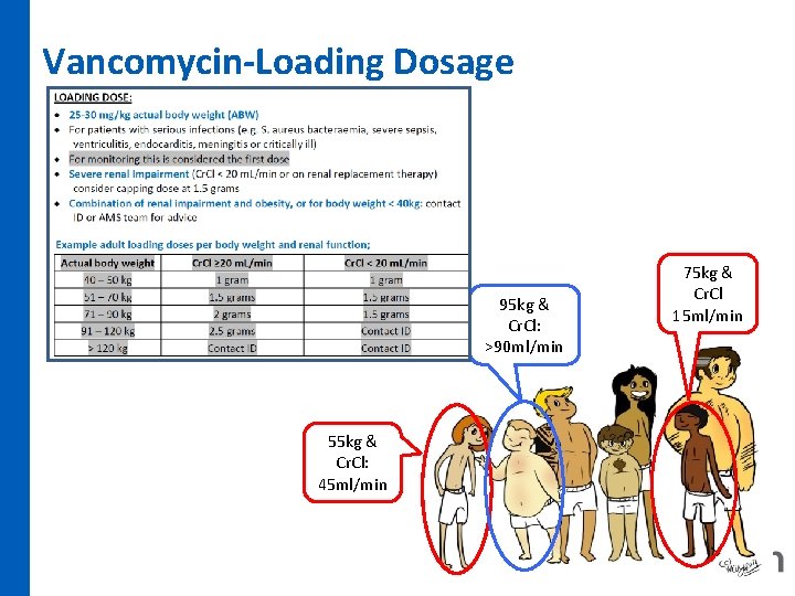 Vancomycin-Loading Dosage 95 kg & Cr. Cl: >90 ml/min 55 kg & Cr. Cl: