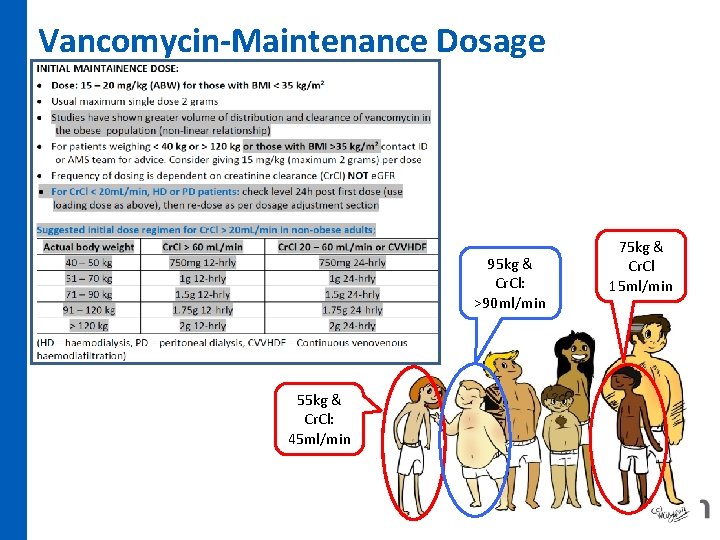 Vancomycin-Maintenance Dosage 95 kg & Cr. Cl: >90 ml/min 55 kg & Cr. Cl: