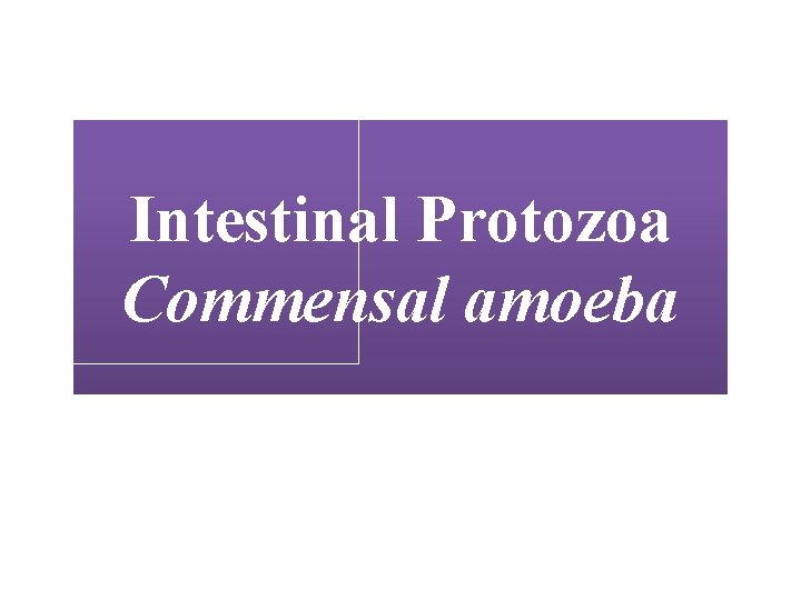 Intestinal Protozoa Commensal amoeba 