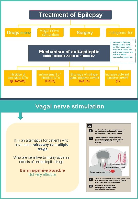 Treatment of Epilepsy Drugs mainly Vagal nerve stimulation Surgery Mechanism of anti-epileptic : inhibit