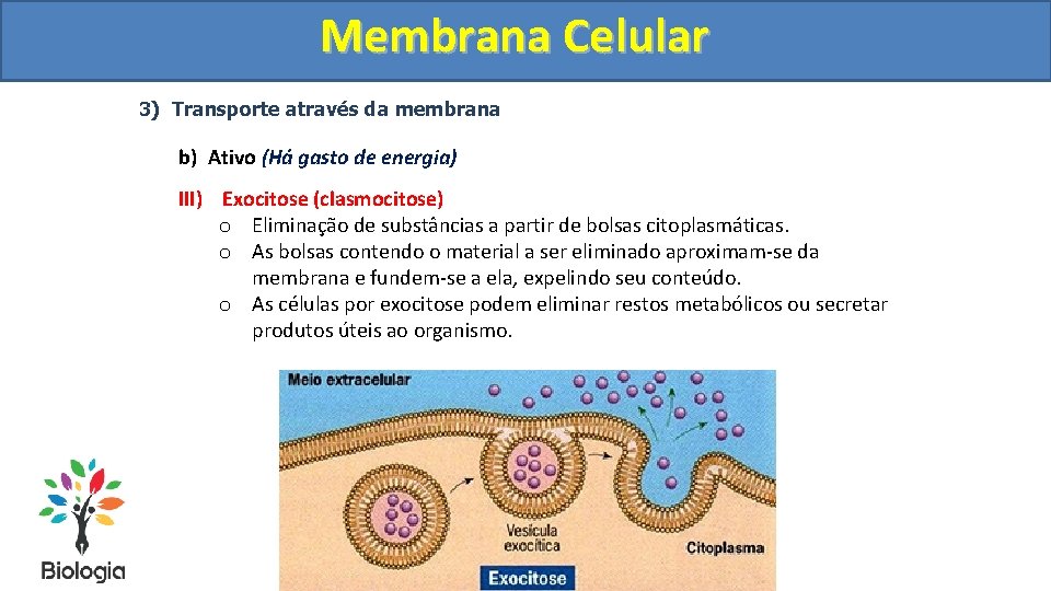 Membrana Celular 3) Transporte através da membrana b) Ativo (Há gasto de energia) III)