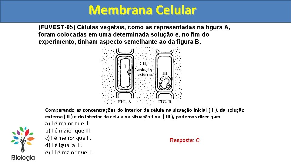Membrana Celular (FUVEST-95) Células vegetais, como as representadas na figura A, foram colocadas em