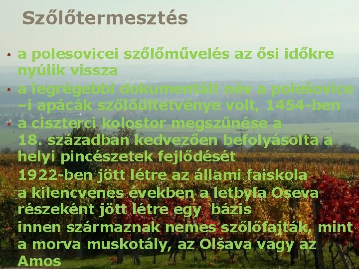 Szőlőtermesztés • • • a polesovicei szőlőművelés az ősi időkre nyúlik vissza a legrégebbi