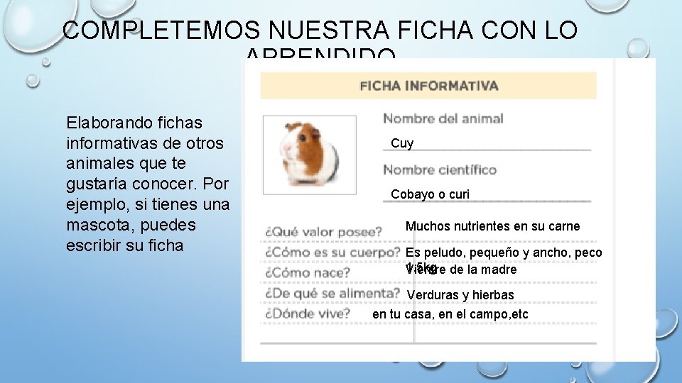 Comunicacin Leemos fichas informativas sobre los animales OBSERVA
