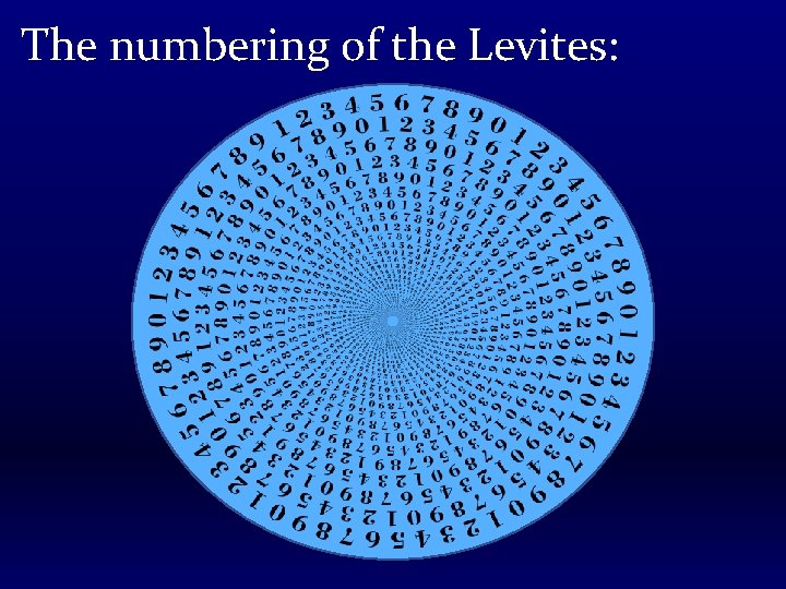The numbering of the Levites: 