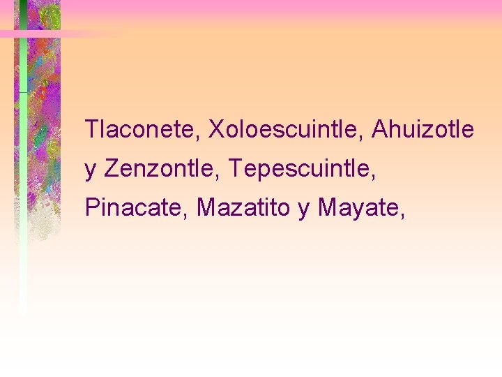 Tlaconete, Xoloescuintle, Ahuizotle y Zenzontle, Tepescuintle, Pinacate, Mazatito y Mayate, 