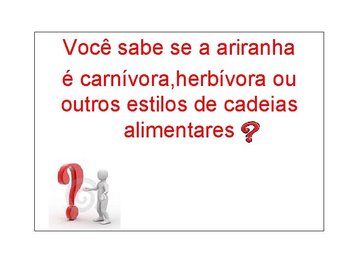 Você sabe se a ariranha é carnívora, herbívora ou outros estilos de cadeias alimentares