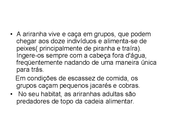  • A ariranha vive e caça em grupos, que podem chegar aos doze