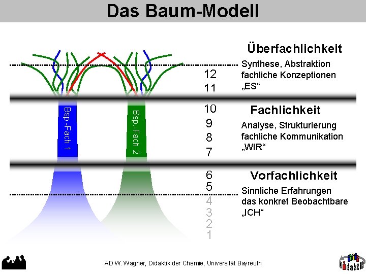 Das Baum-Modell Überfachlichkeit 12 11 Bsp. -Fach 2 Bsp. -Fach 1 10 9 8