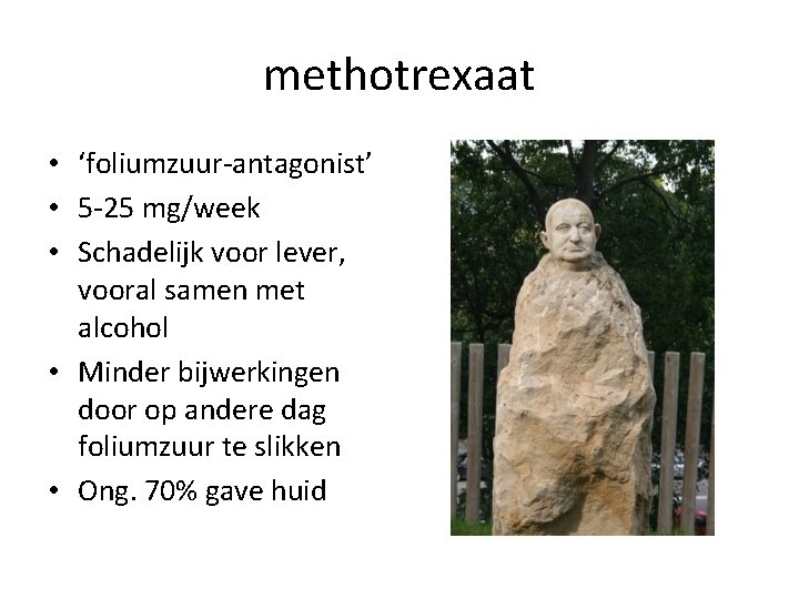 methotrexaat • ‘foliumzuur-antagonist’ • 5 -25 mg/week • Schadelijk voor lever, vooral samen met