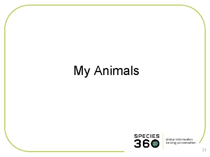 My Animals 23 