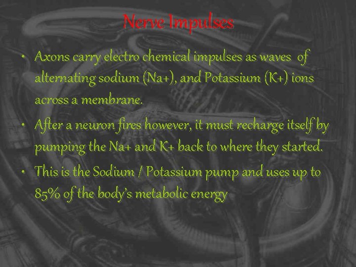 Nerve Impulses • Axons carry electro chemical impulses as waves of alternating sodium (Na+),