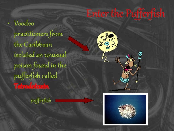 • Voodoo practitioners from the Caribbean isolated an unusual poison found in the
