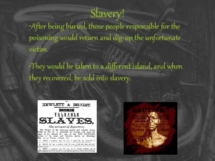 Slavery! • After being buried, those people responsible for the poisoning would return and