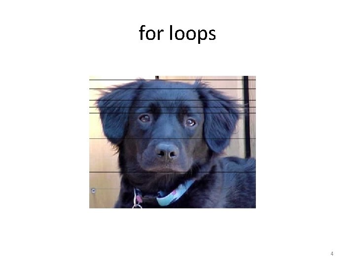 for loops 4 