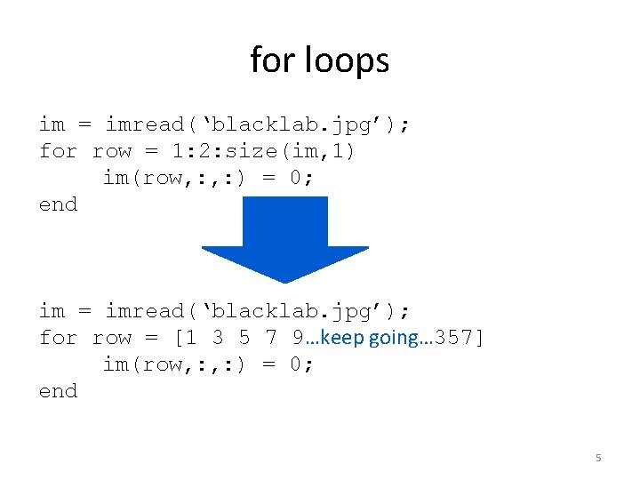 for loops im = imread(‘blacklab. jpg’); for row = 1: 2: size(im, 1) im(row,