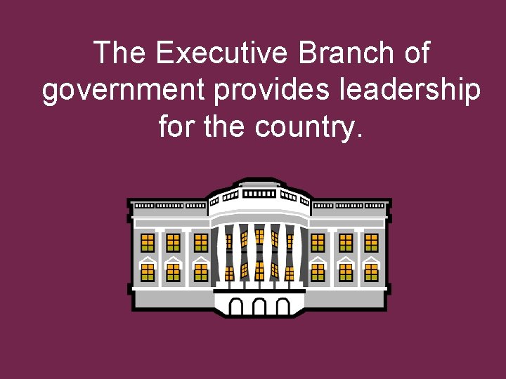 The Executive Branch of government provides leadership for the country. 