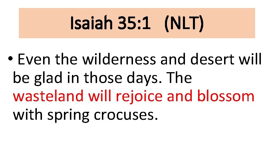 Isaiah 35: 1 (NLT) • Even the wilderness and desert will be glad in