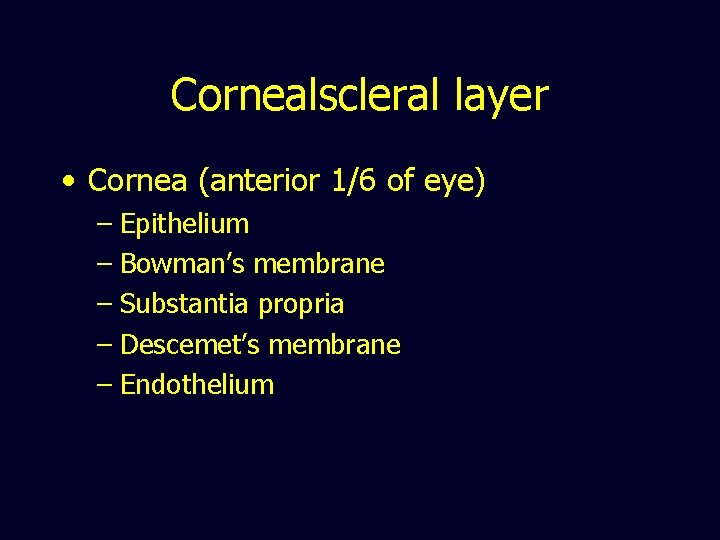 Cornealscleral layer • Cornea (anterior 1/6 of eye) – Epithelium – Bowman’s membrane –