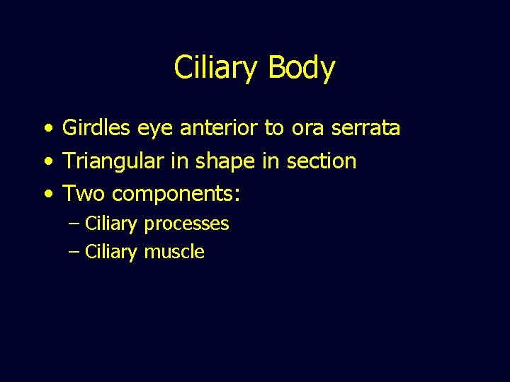 Ciliary Body • Girdles eye anterior to ora serrata • Triangular in shape in