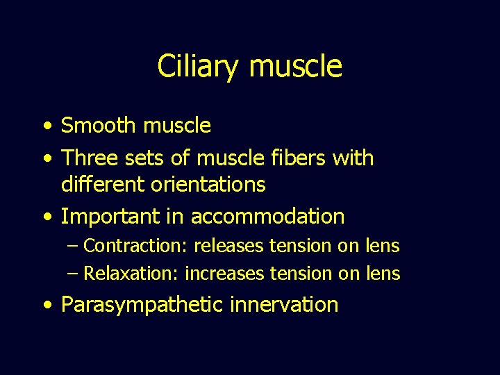 Ciliary muscle • Smooth muscle • Three sets of muscle fibers with different orientations