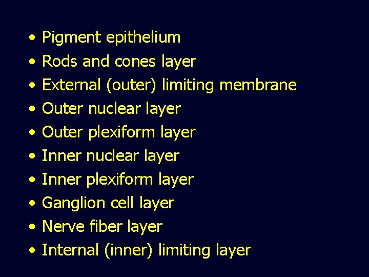  • • • Pigment epithelium Rods and cones layer External (outer) limiting membrane