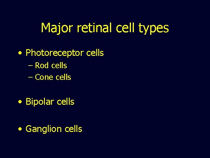 Major retinal cell types • Photoreceptor cells – Rod cells – Cone cells •